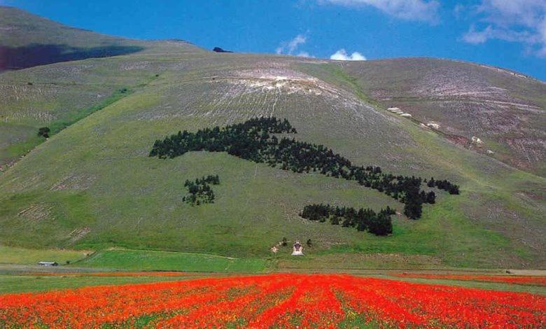 Residence il giardino sul fiume Nera Cerreto di Spoleto Esterno foto