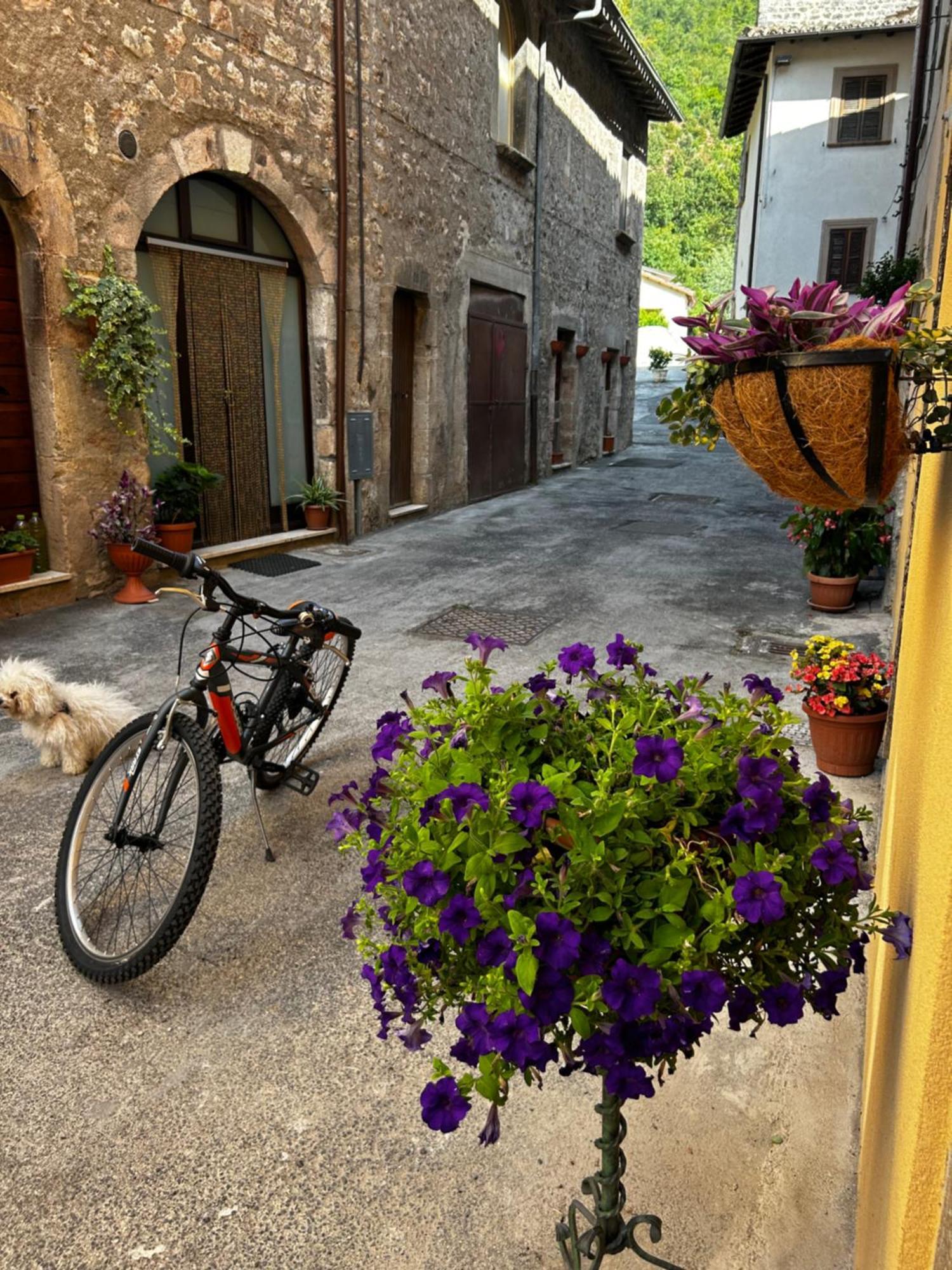 Residence il giardino sul fiume Nera Cerreto di Spoleto Esterno foto